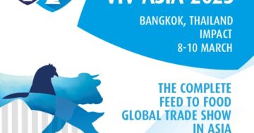 viv asia