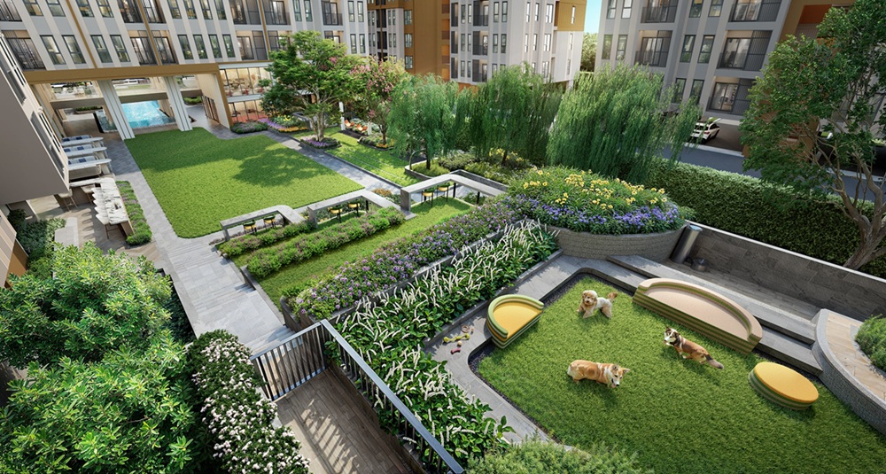 ap thailand ap thailand