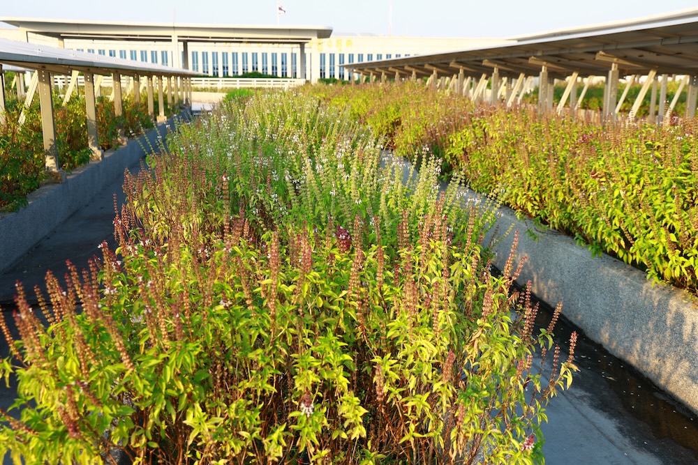 ศูนย์ราชการแจ้งวัฒนะ